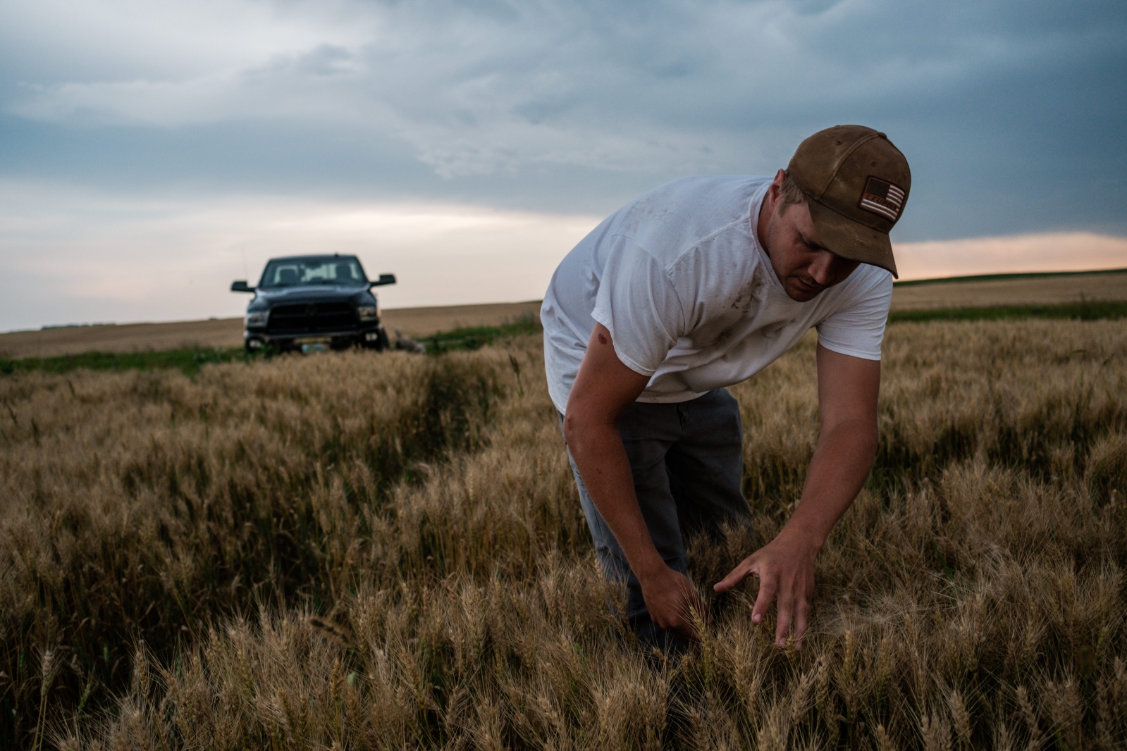 Image from Profile of a Young American Farmer