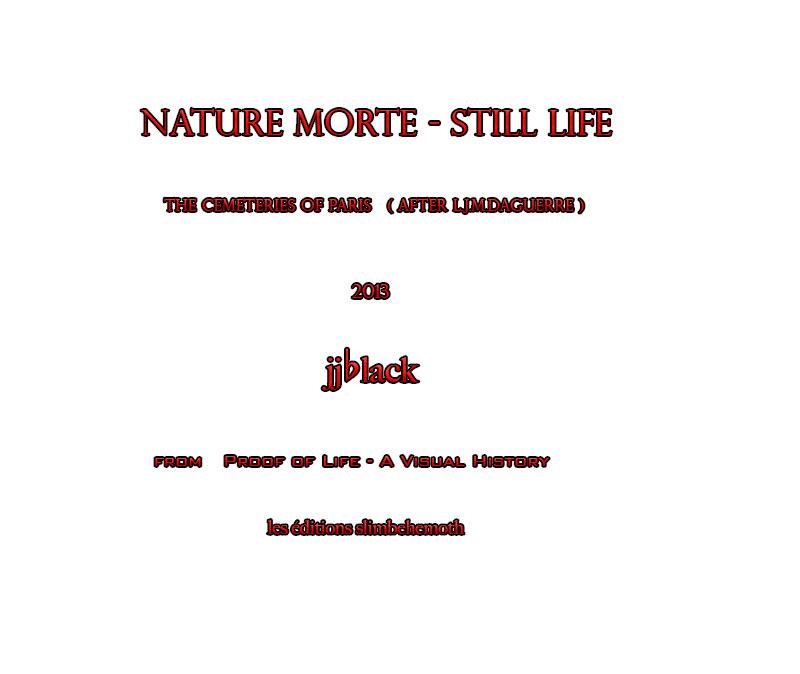 Nature Morte - Still Life