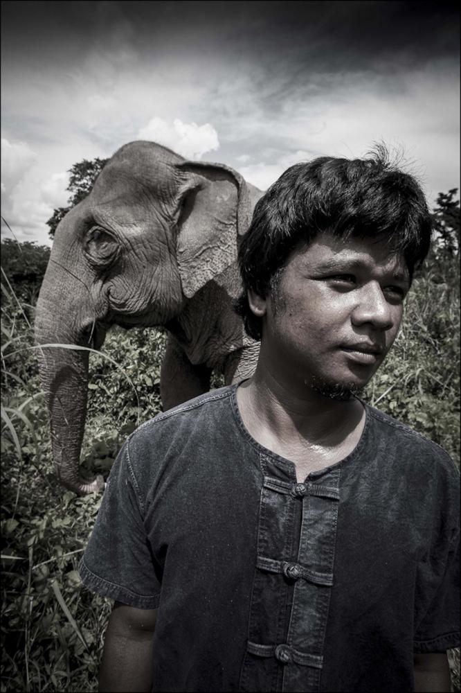 Image from Mahouts & The Vanishing Giants -   Mahout Dong with elephant Pang Suai (Miss Beutifull) at...