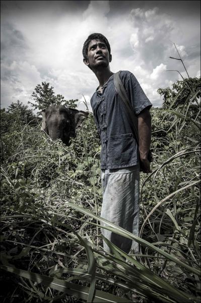 Image from Mahouts & The Vanishing Giants -   Mahout Nen with elephant Pang Dow at Boon Lotts...