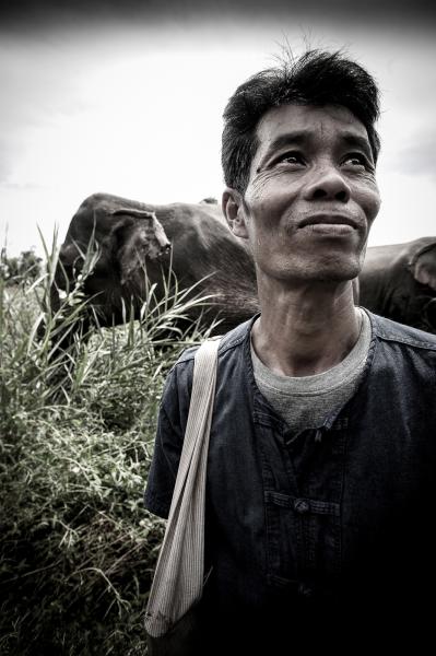Image from Mahouts & The Vanishing Giants -   Sot with Somai at Boon Lotts Elephant Sanctuary, Baan...