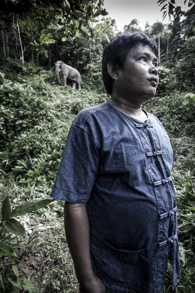 Image from Mahouts & The Vanishing Giants -   Mahout Kham with his elephant Seedor Yai at Boon Lotts...
