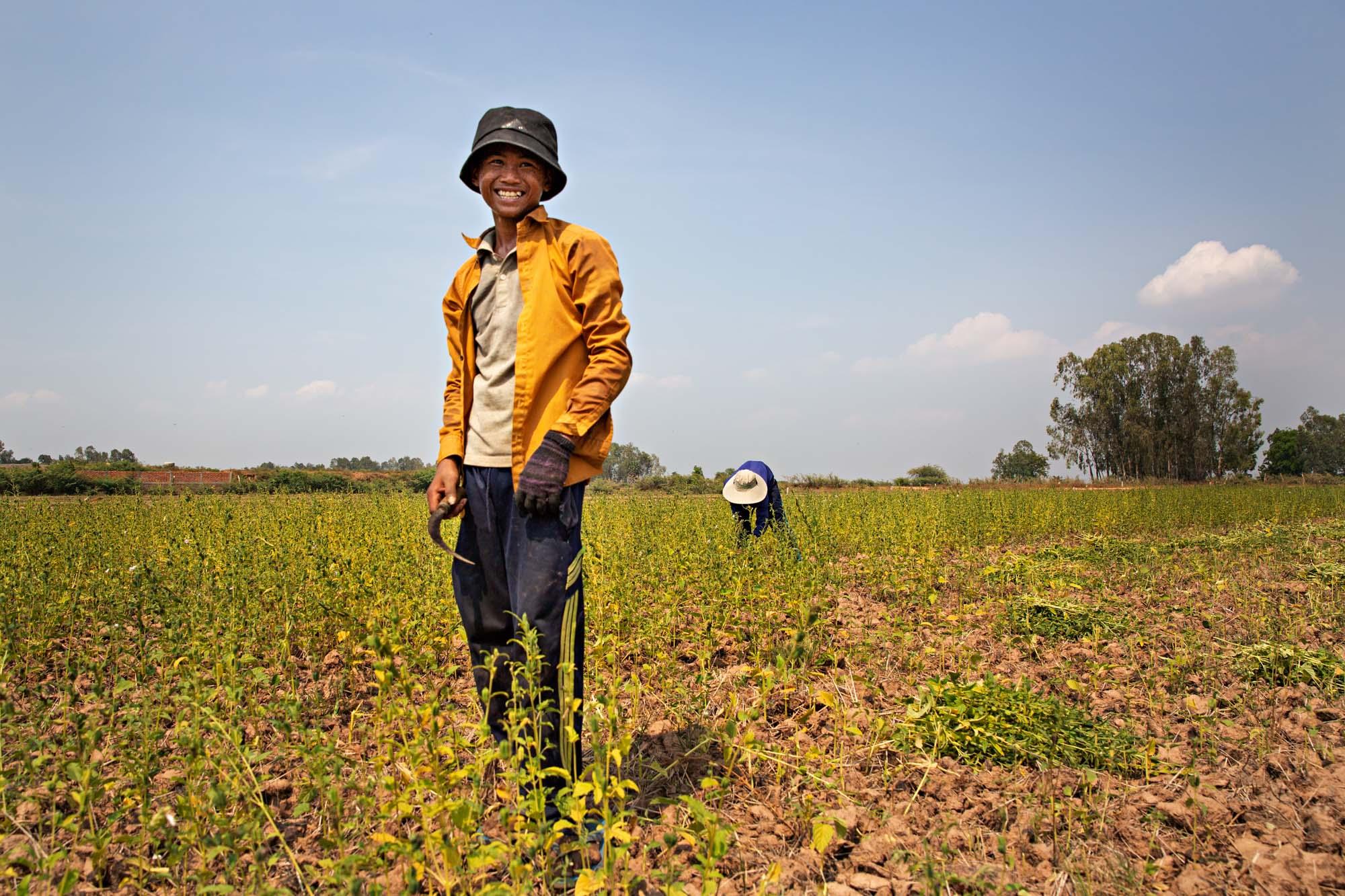 A young boy laughs while working in a field in rural Cambodia, April 2019.