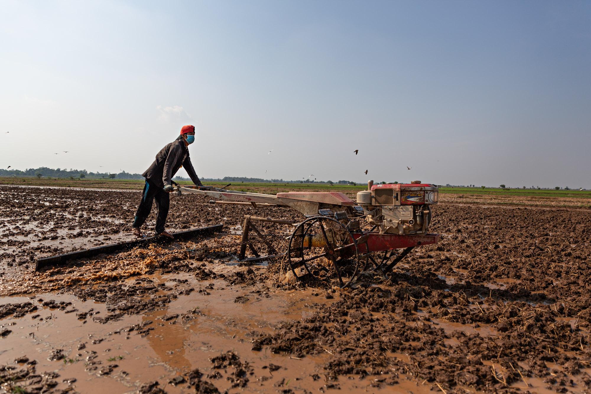NGO - A farmer plows a field in rural Cambodia, April 2019.