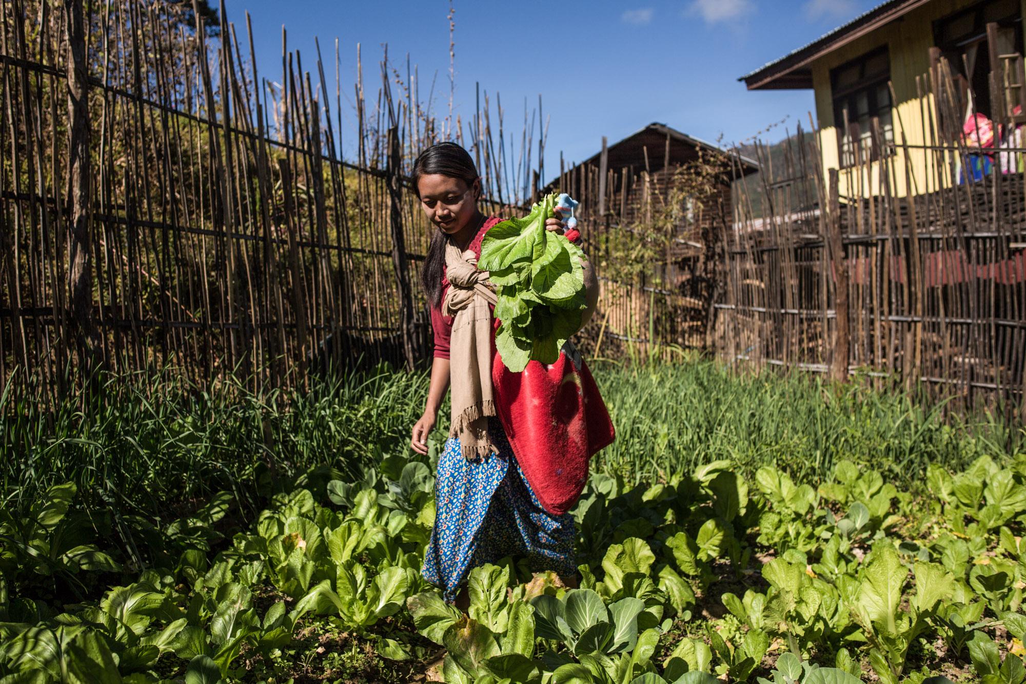 NGO - A young mother gathers vegetables from her garden in...