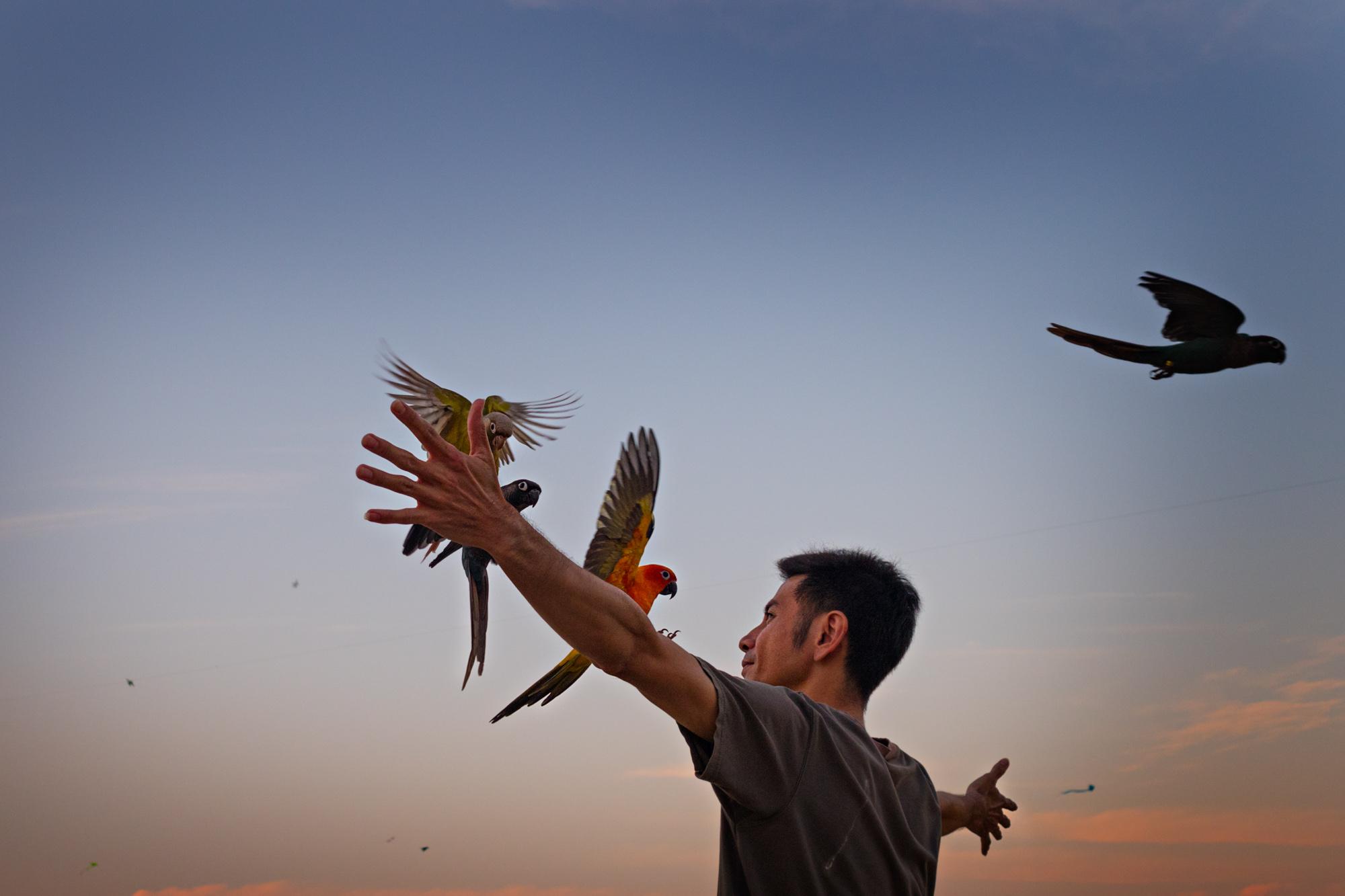 A man welcomes pet parrots onto his open arms in Sanam Luang Park in Bangkok, Thailand, April 2016.