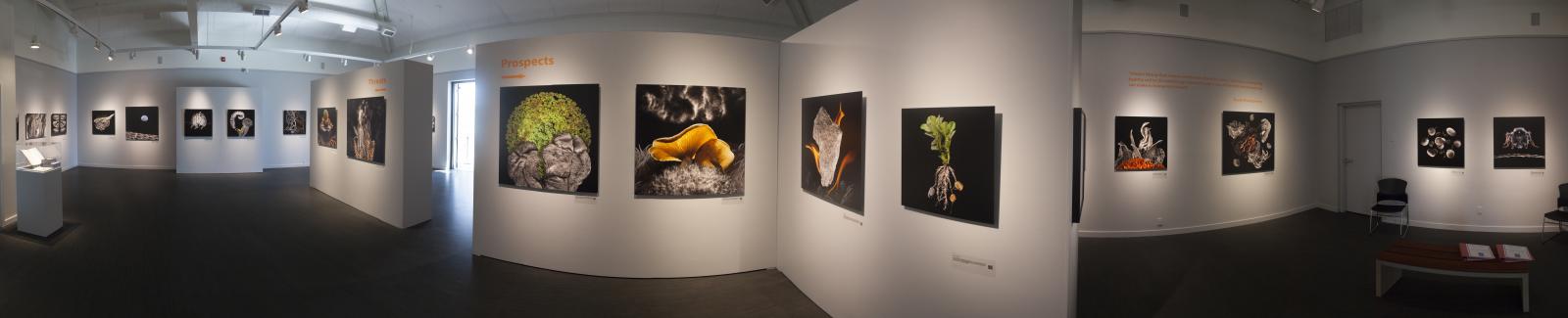 View Food for Thought Exhibition Images
