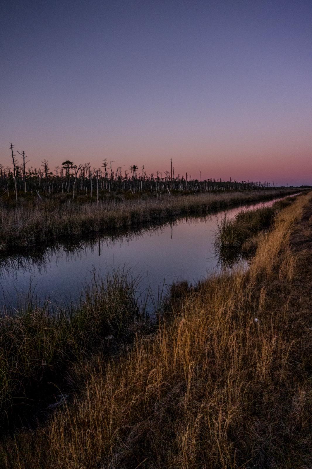 Shifting Sands - In areas just west of the Outer Banks like the Alligator River National Wildlife Refuge, ghost...