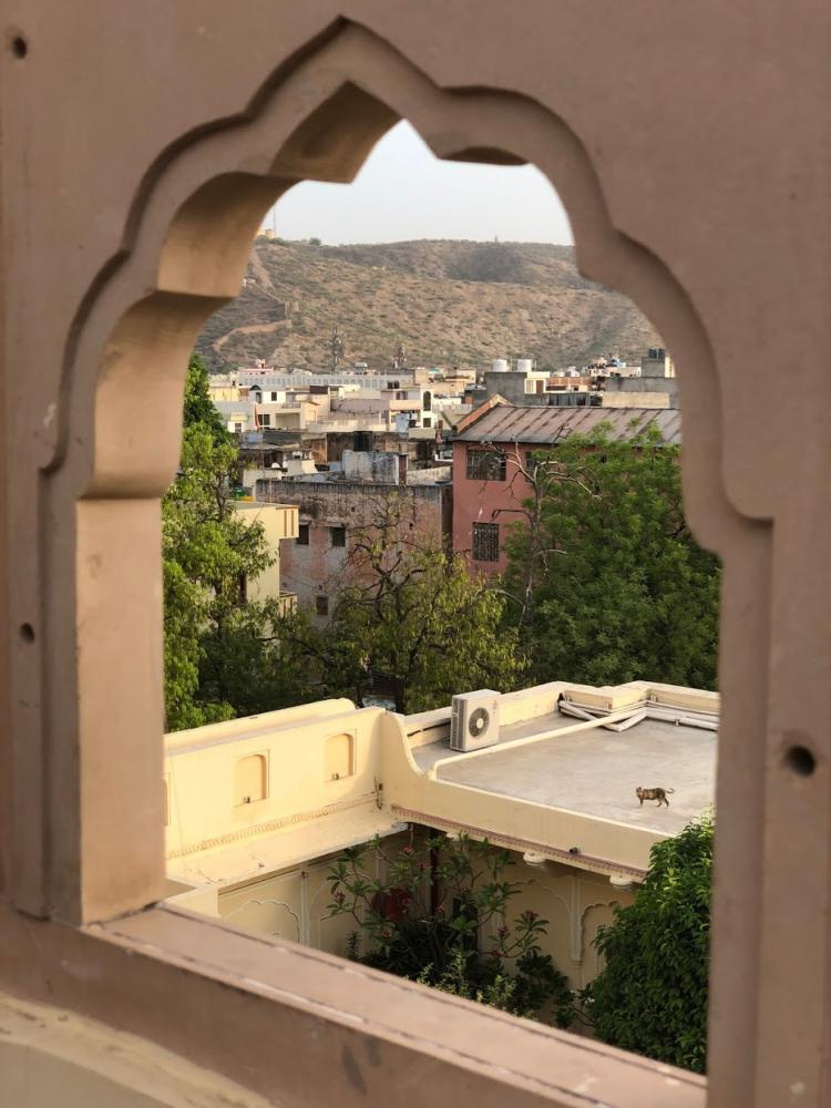Jaipur 2019