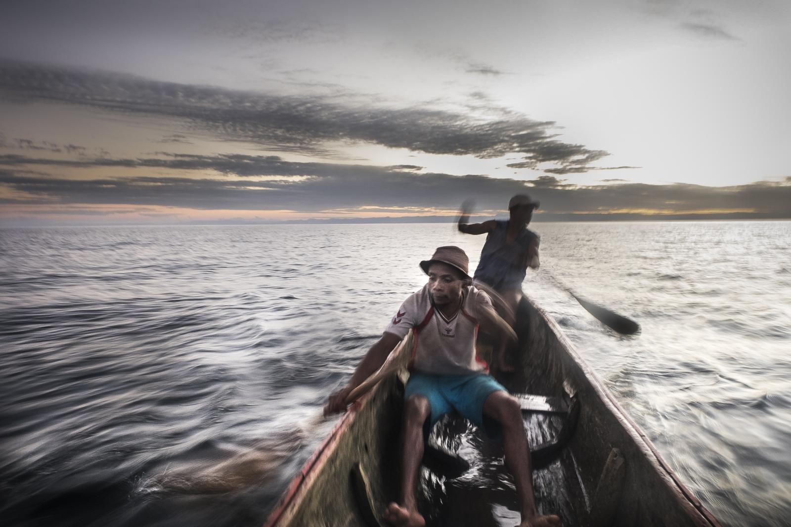 Why Plentiful Fish Stocks Protect Human Health and Wellbeing