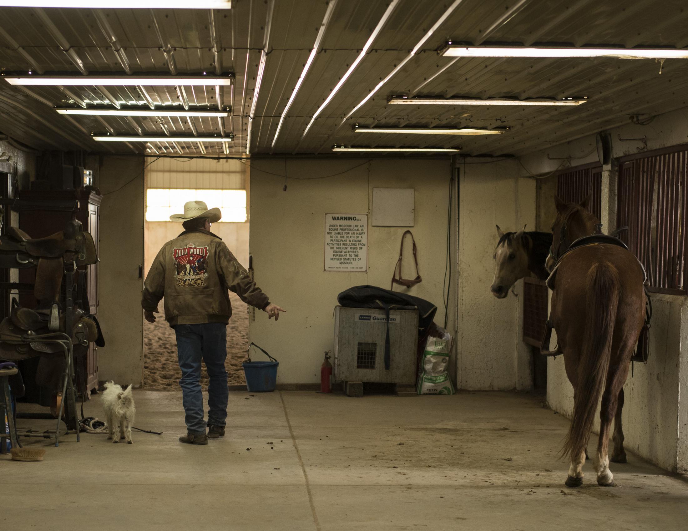 There is no typical day at the office when working with horses. &ldquo;All I do is solve...