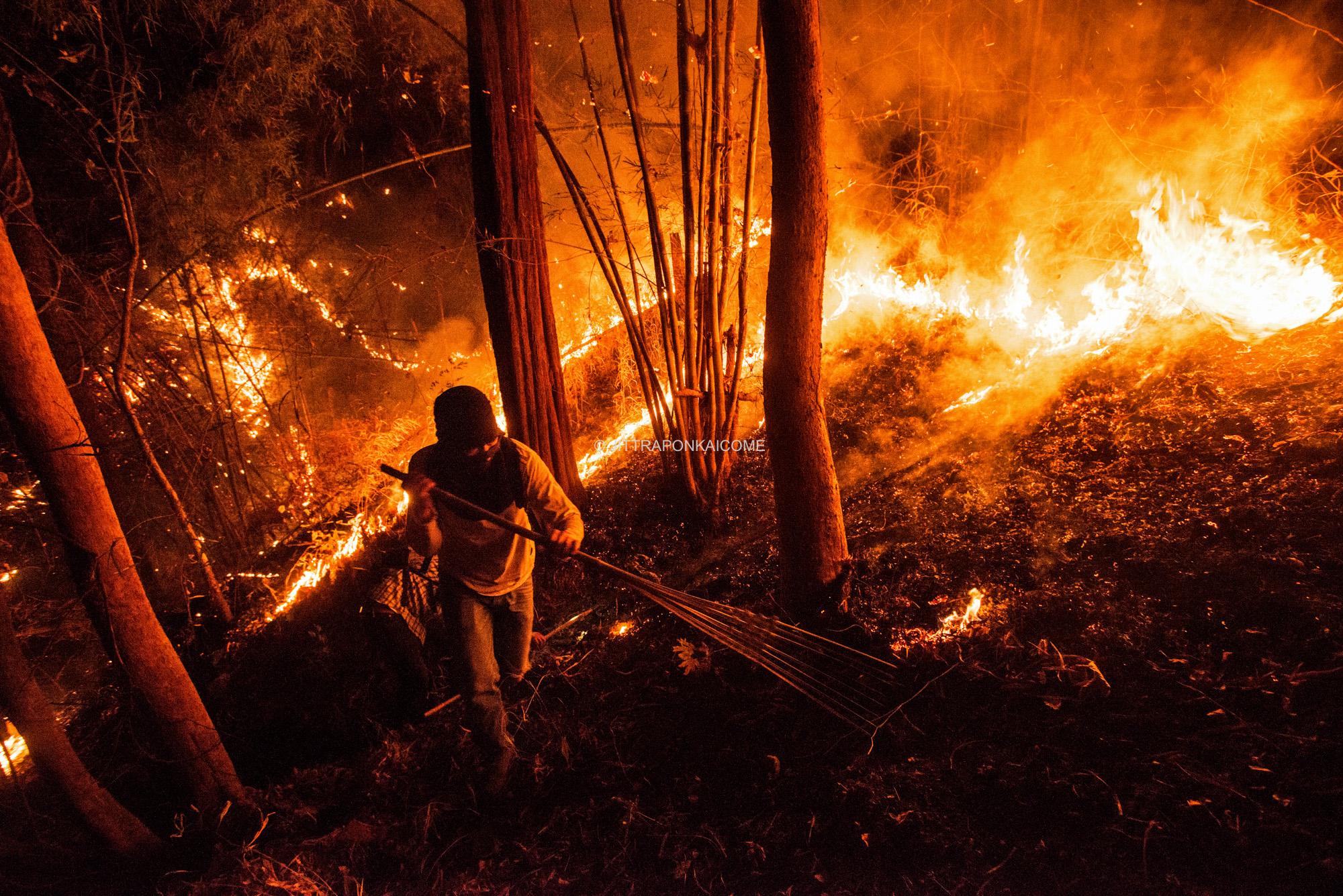 A firefighter hikes through a forest fire, to prevent its further spread during the night time by...