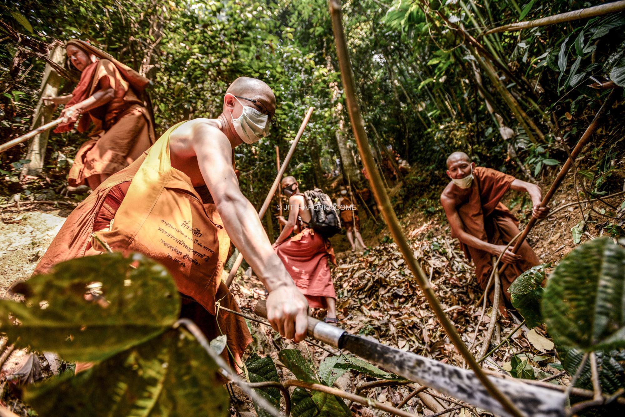 Smoke Crisis in Northern Thailand -  Monks have to rake plant leaves and create a firebreak...