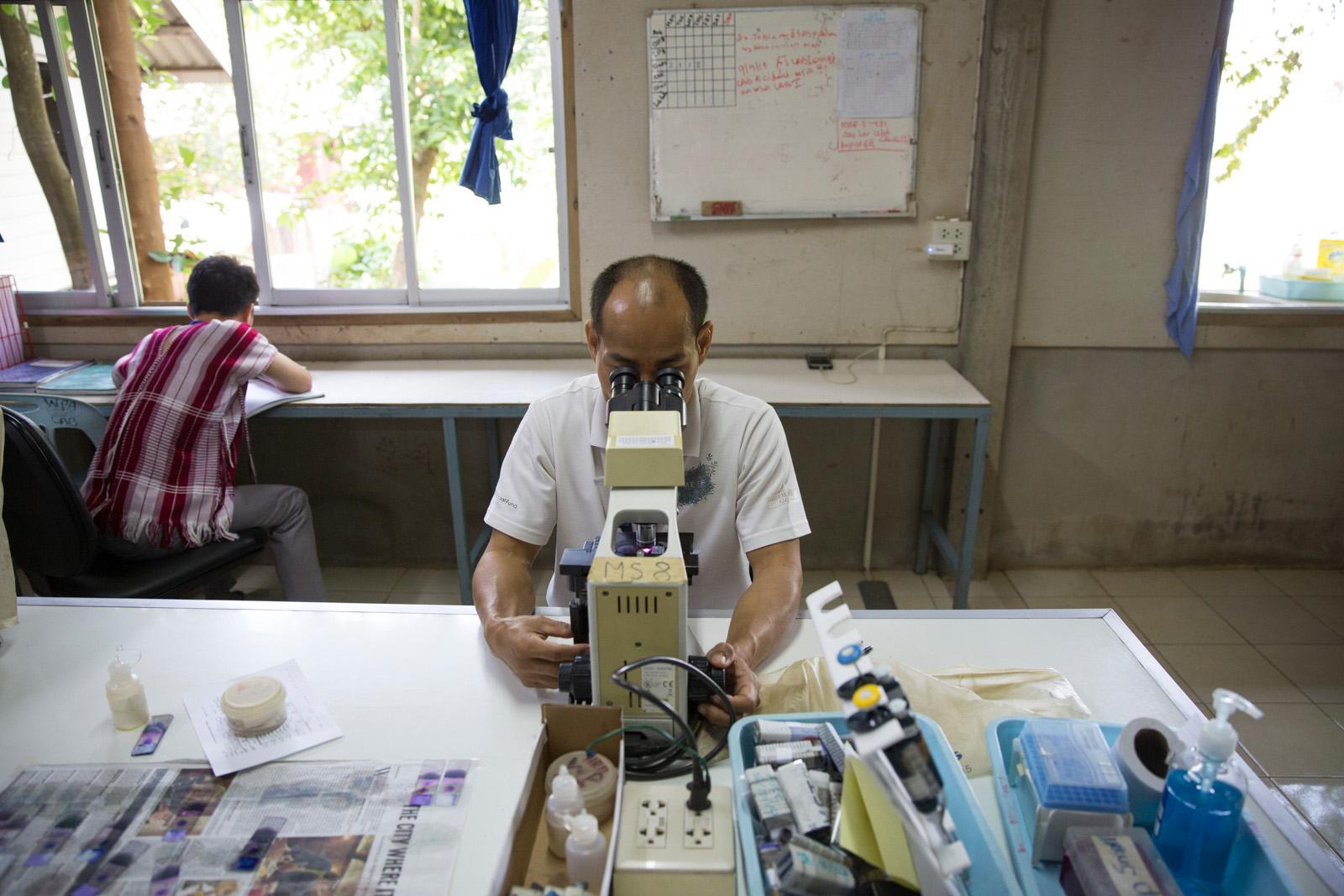 SOUTHEAST ASIA'S DENGUE EPIDEMIC - In the on-site laboratory medical staff look through...