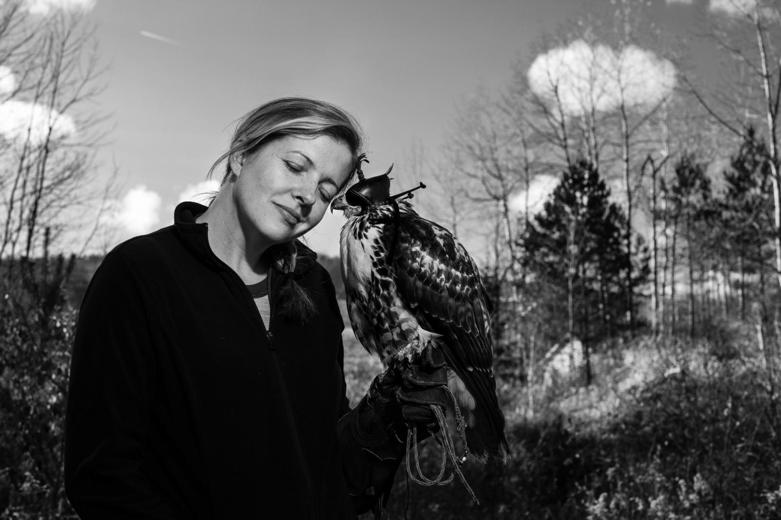 Falconer's Apprentice Michele Abercrombie Visual Editor