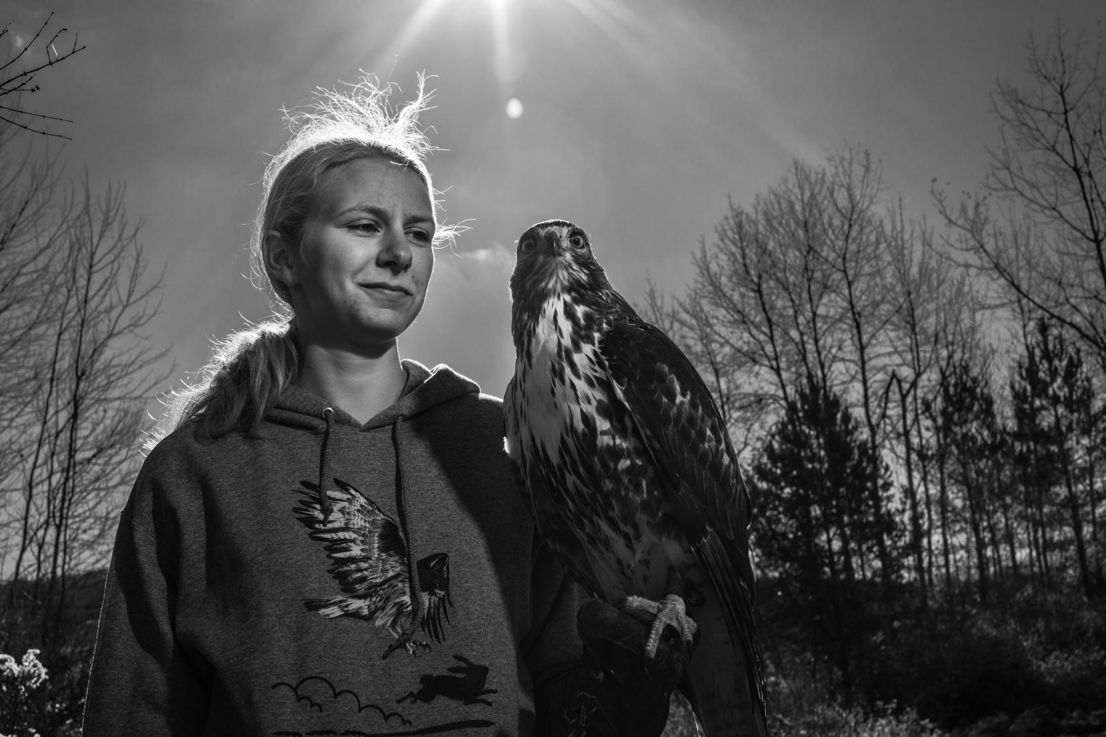 Falconer's Apprentice Michele Abercrombie Visual Editor