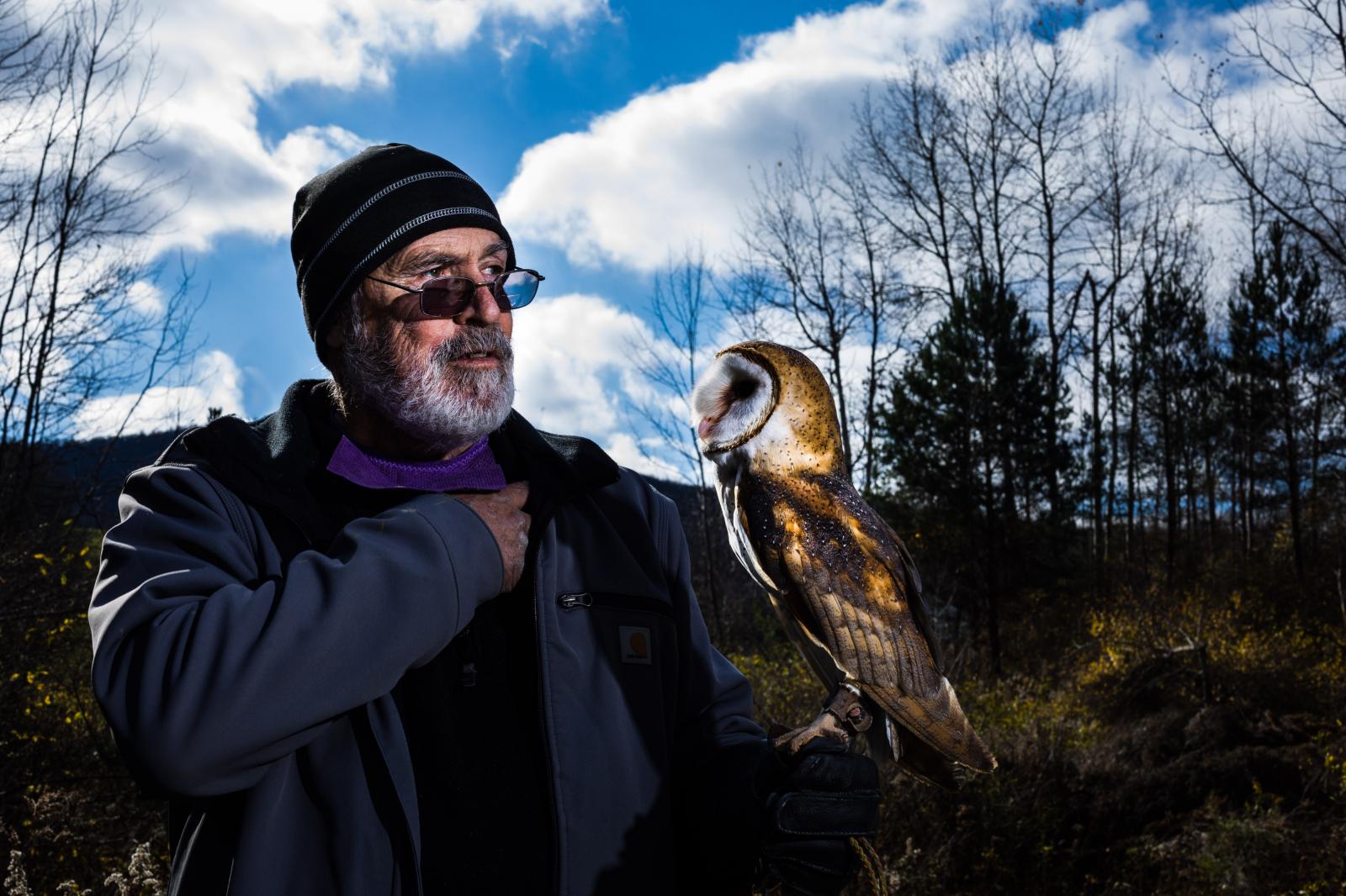 Falconer's Apprentice Michele Abercrombie Visual Editor