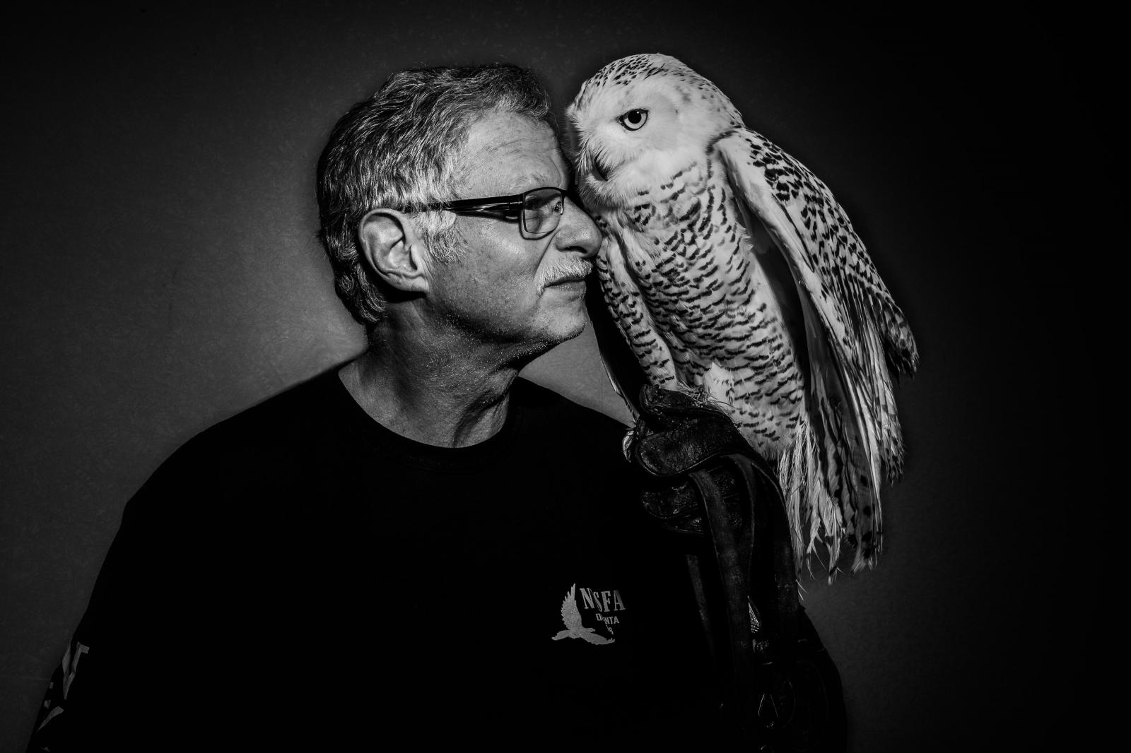 Falconer's Apprentice Michele Abercrombie Visual Editor