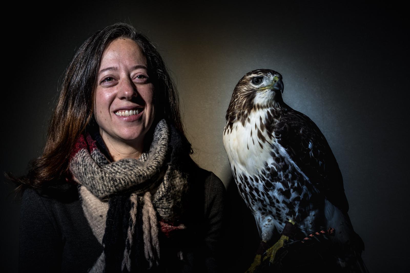 Falconer's Apprentice Michele Abercrombie Visual Editor