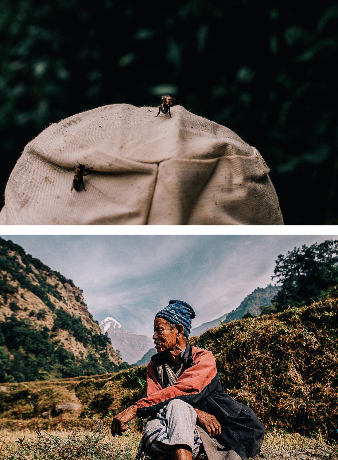 Nepali Honey Hunters - 