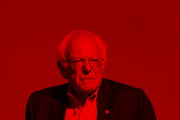 Bernie Sanders 2020: Documenting the Political Revolution 