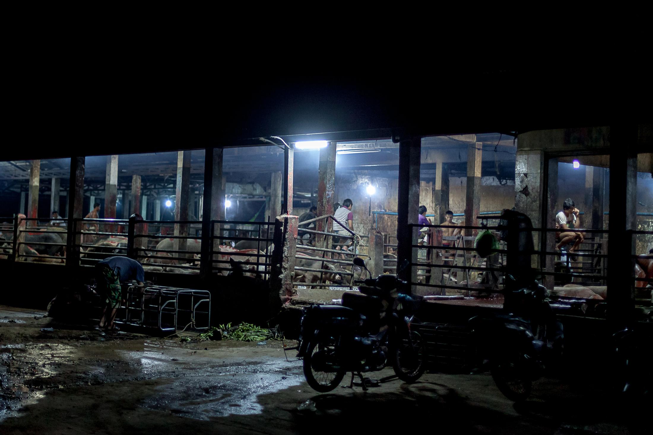 Inside a Cambodian Slaughterhouse - SIEM REAP, CAMBODIA - FEBRUARY 22: A group of young...