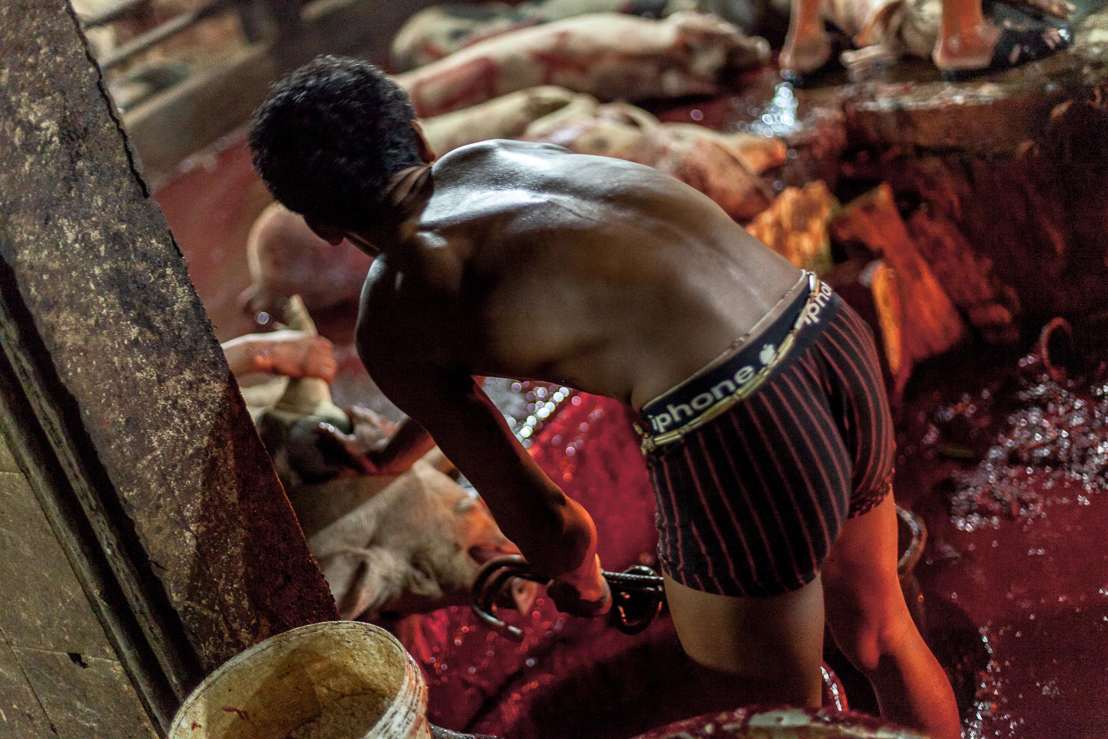 Inside a Cambodian Slaughterhouse - SIEM REAP, CAMBODIA - FEBRUARY 22: A young worker wearing...