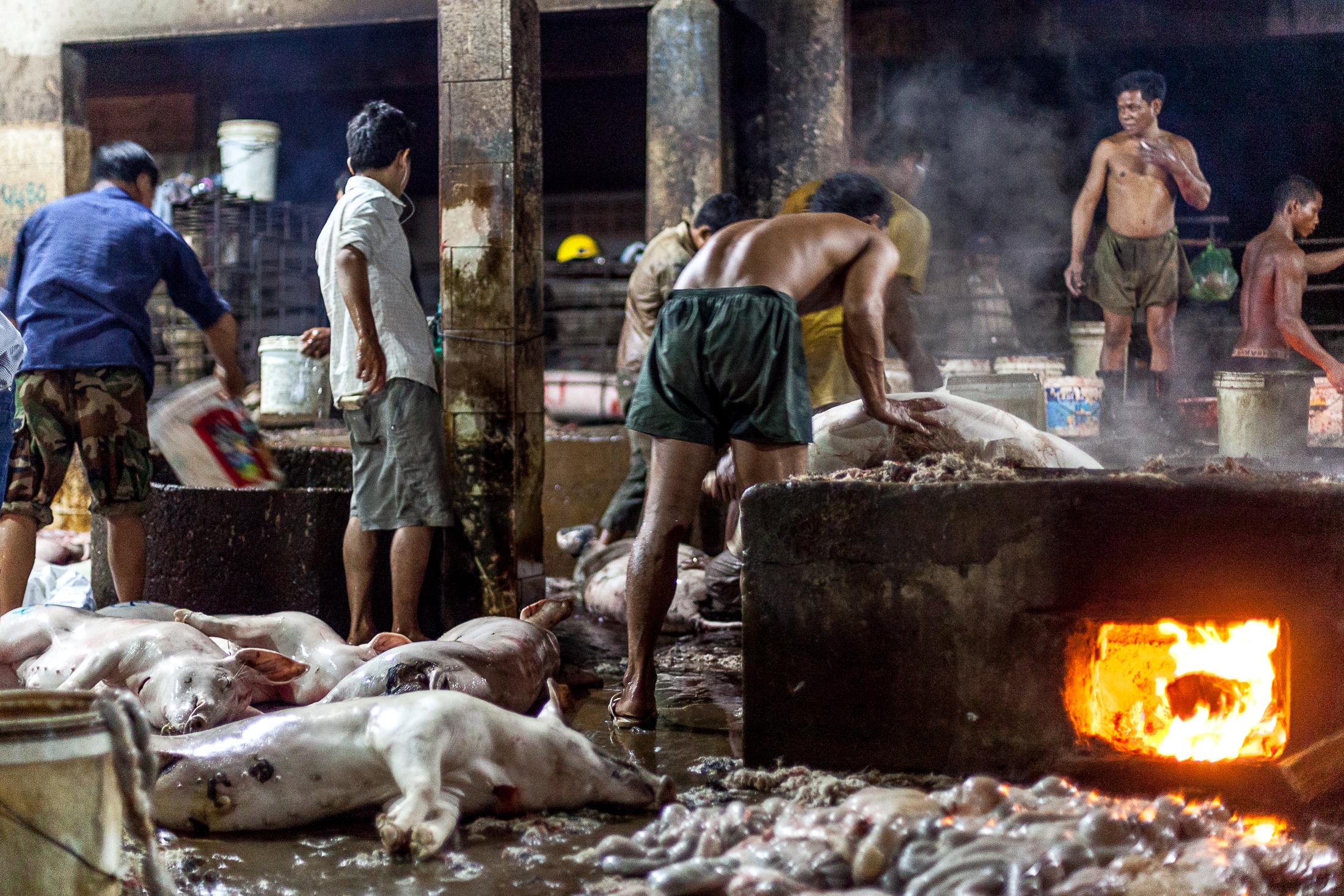 Inside a Cambodian Slaughterhouse - SIEM REAP, CAMBODIA - FEBRUARY 22: A group of workers...