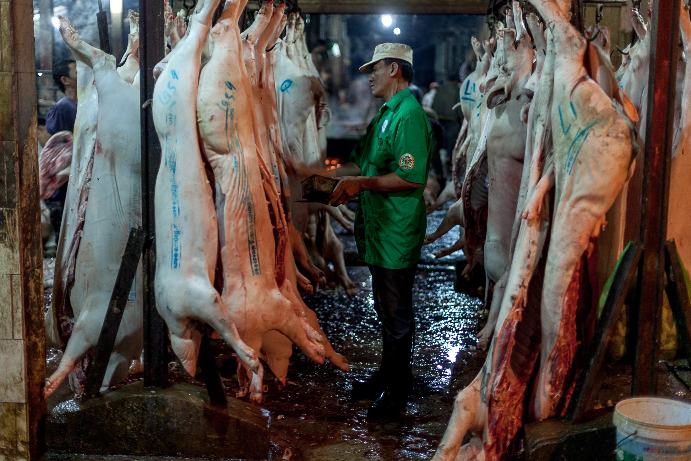 Inside a Cambodian Slaughterhouse - SIEM REAP, CAMBODIA - FEBRUARY 22: A veterinarian...
