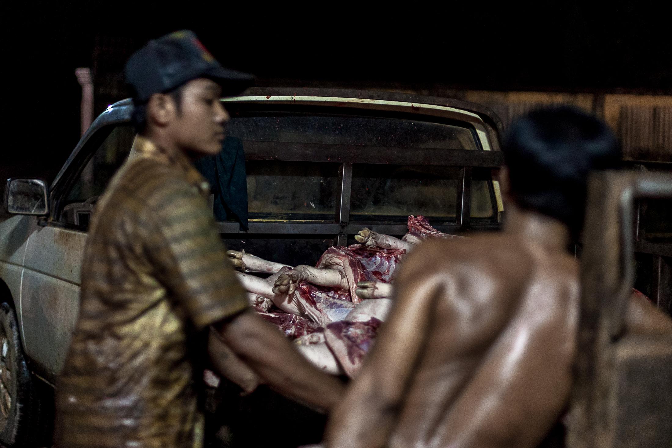 Inside a Cambodian Slaughterhouse - SIEM REAP, CAMBODIA - FEBRUARY 22: Two young men pile...