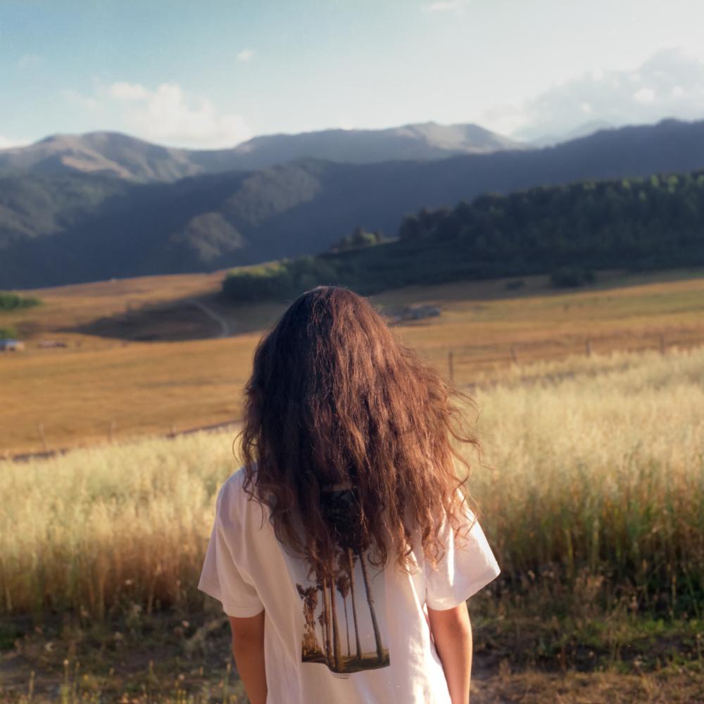 Last Days in the Mountains