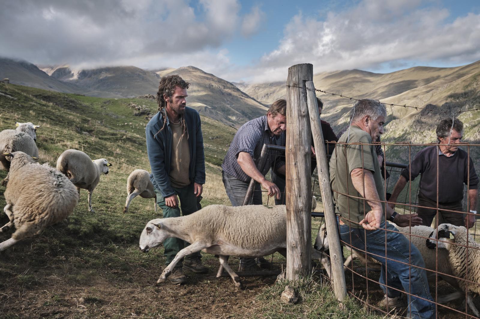 Pyrenees, 2021