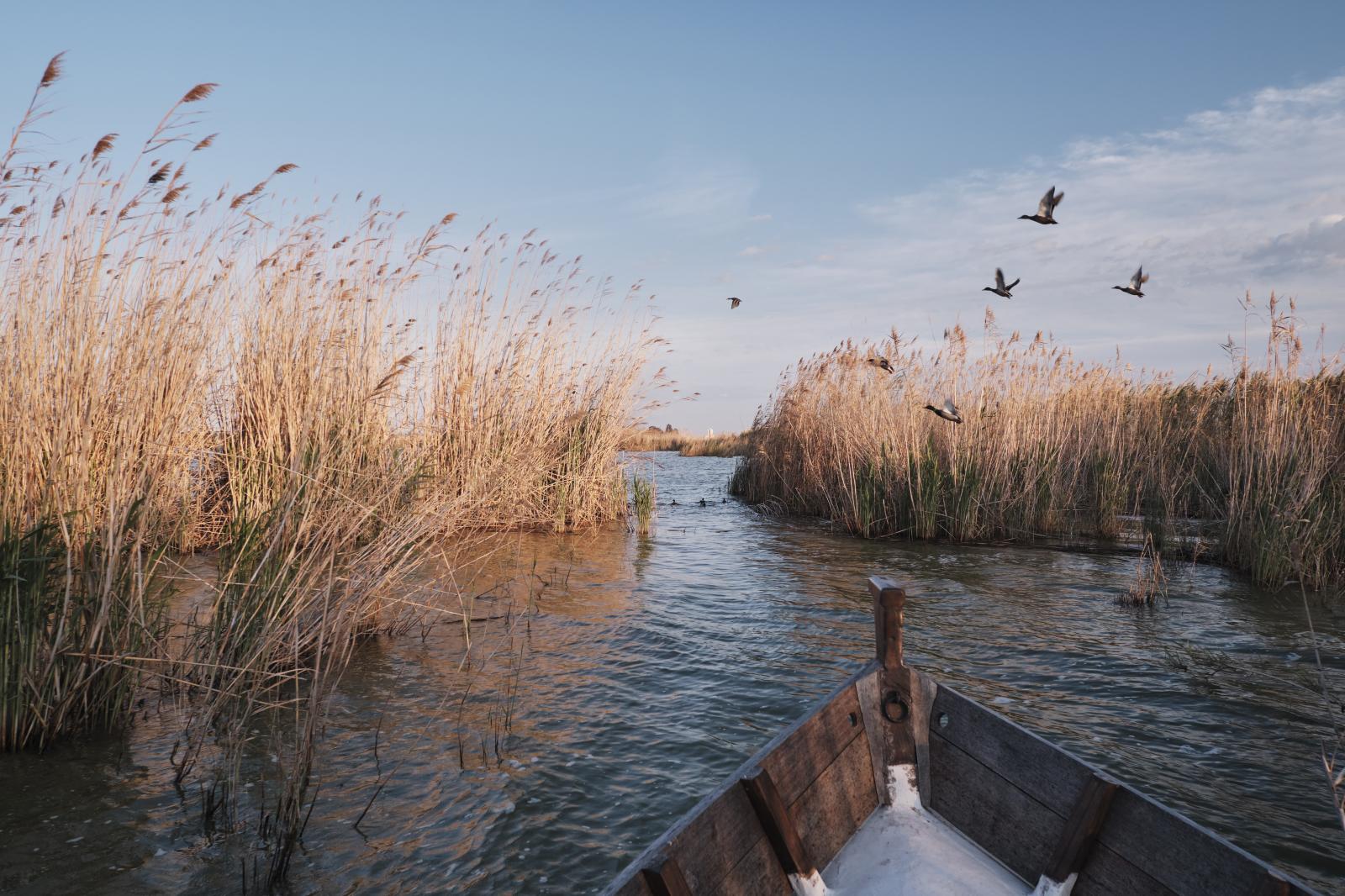 Albufera de València, 2021