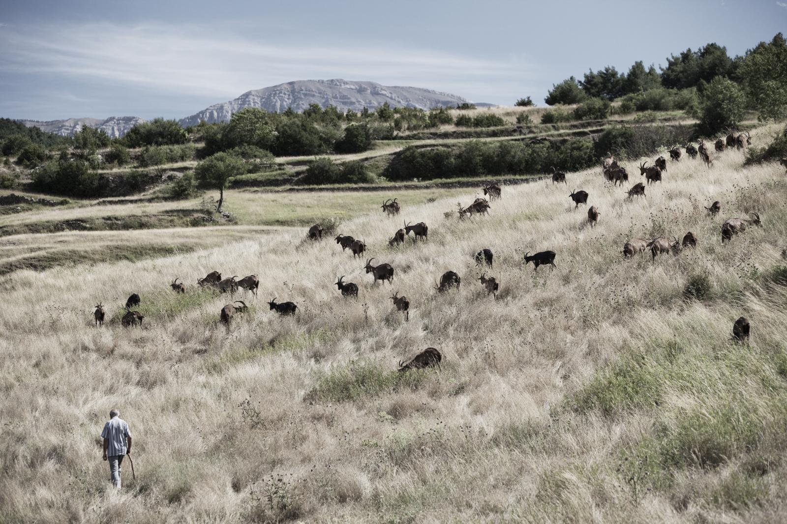 Cadí, 2013