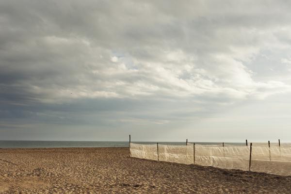 Empty beach, 2016 | Buy this image