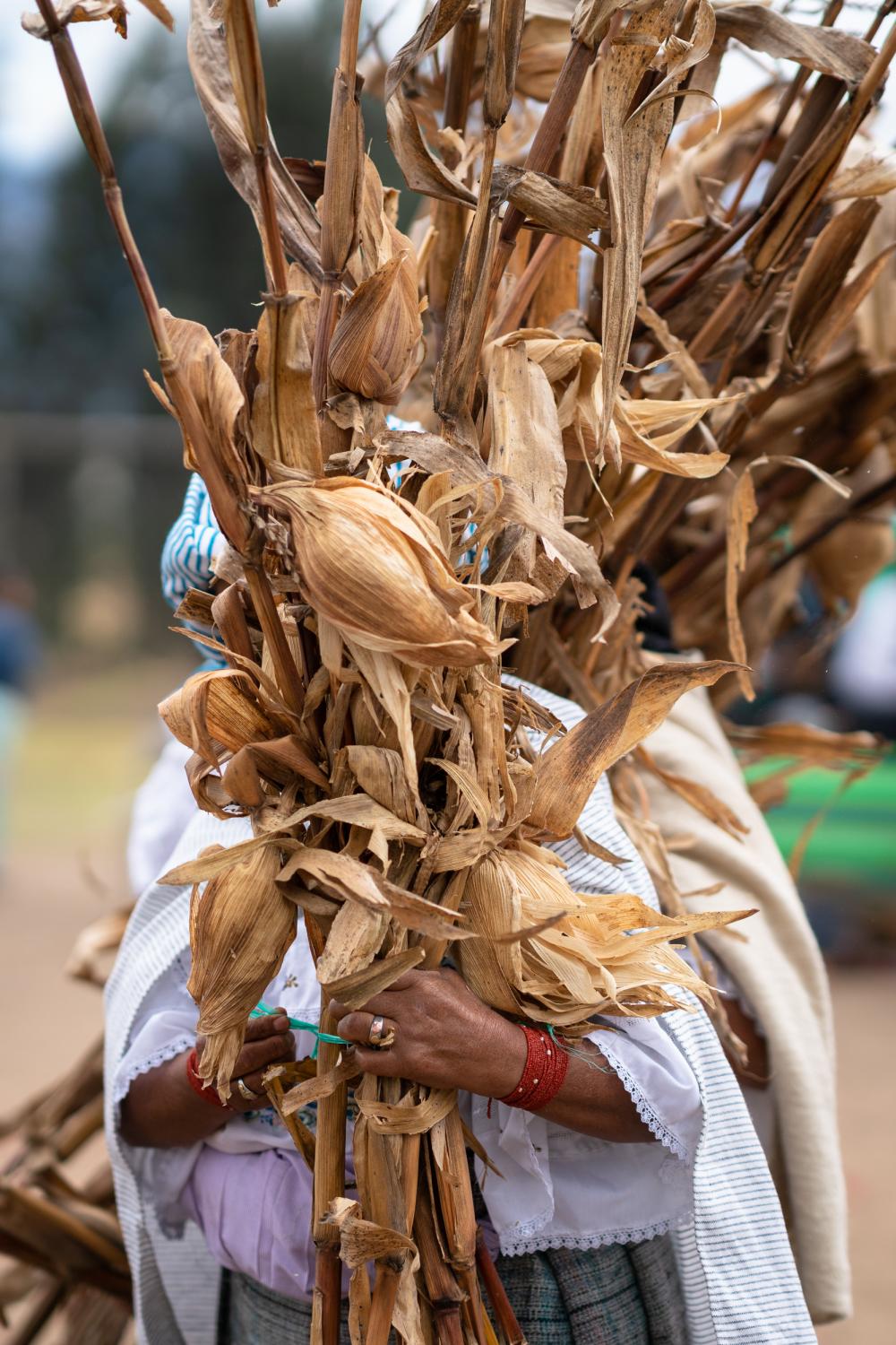 Seed Guardians -  Woman dancing during the Uyanza, a celebration to honor...