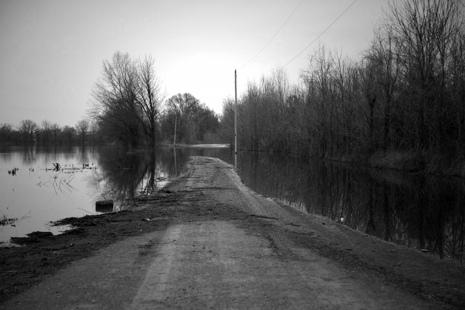 The Land Where Roots Grow Deep by Rebecca Moseman
