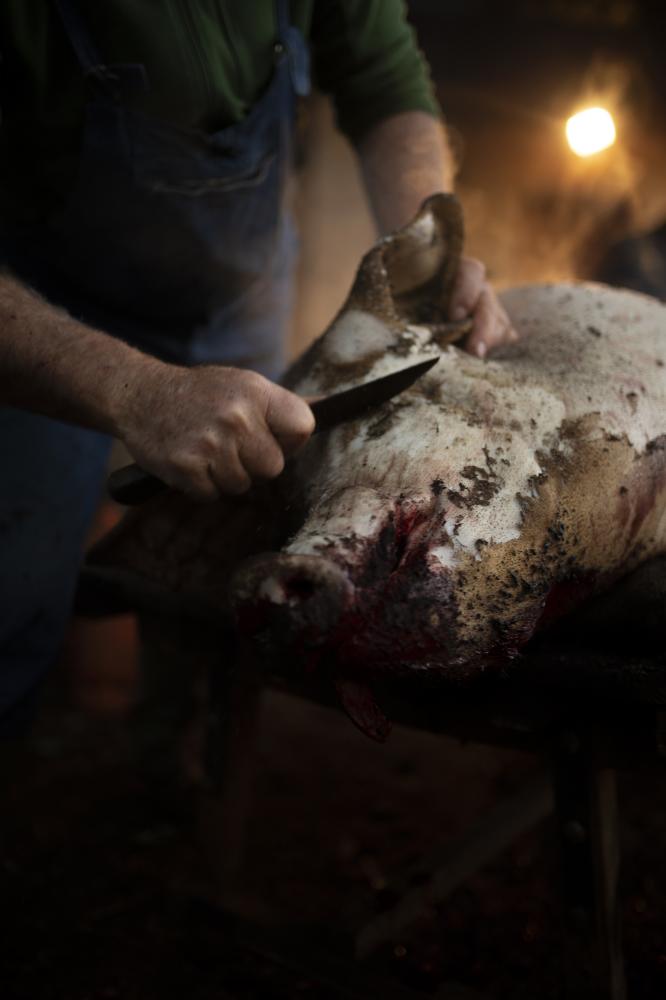 Mallorca Pig Slaughter