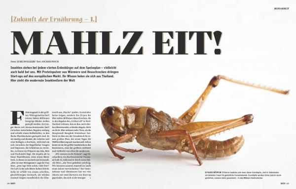 Client:  BEEF! Magazine  - Germany  Published: September 2019