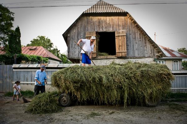 A day in the village of the missing generation - Romania - 