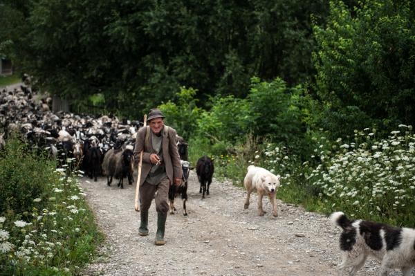 A day in the village of the missing generation - Romania - 