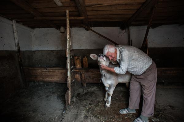 Image from A day in the village of the missing generation - Romania