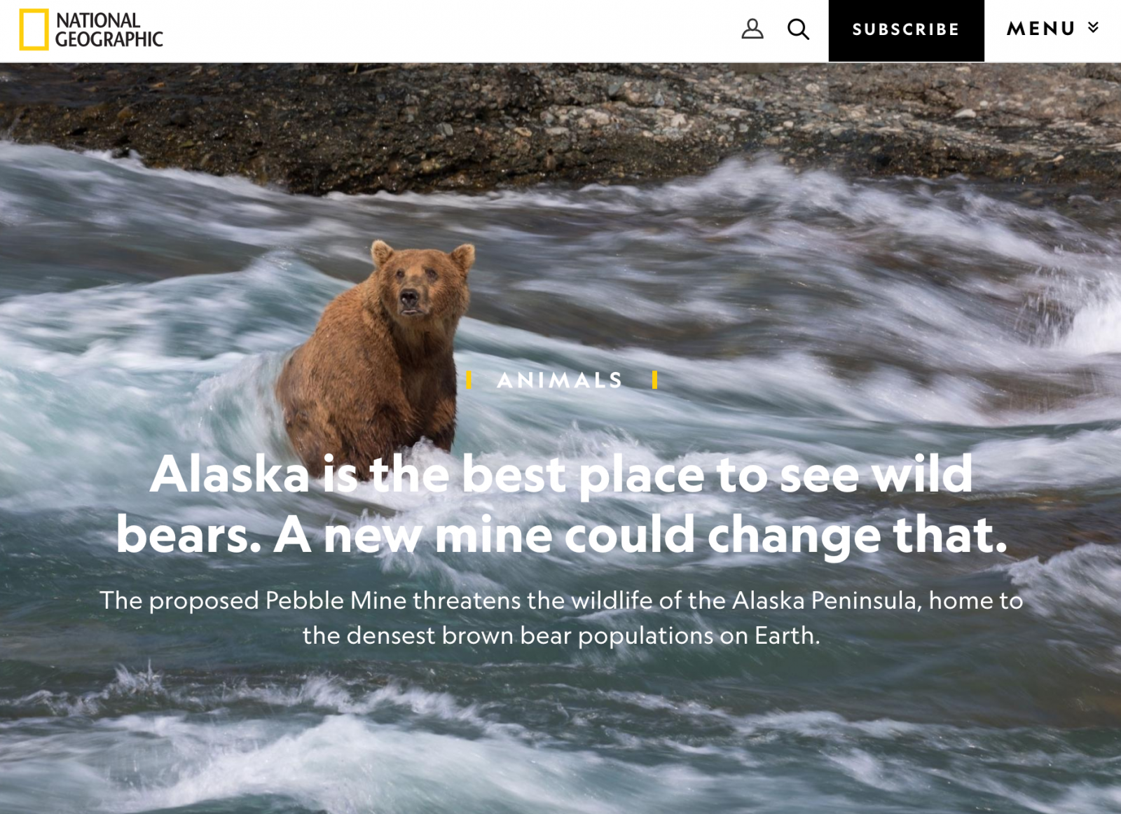 Alaskan Brown Bears Threatened By Mine "“ on National Geographic
