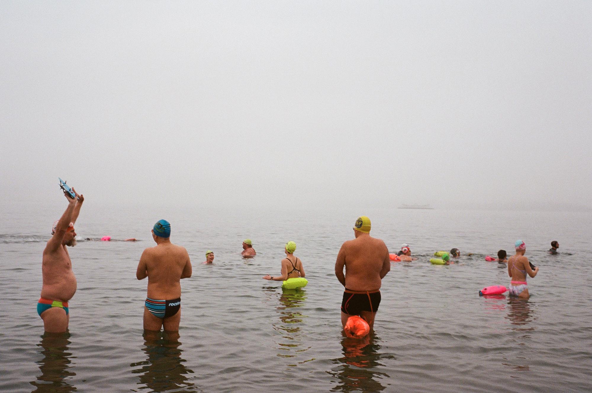 Winter Swimmers of the Salish Sea 