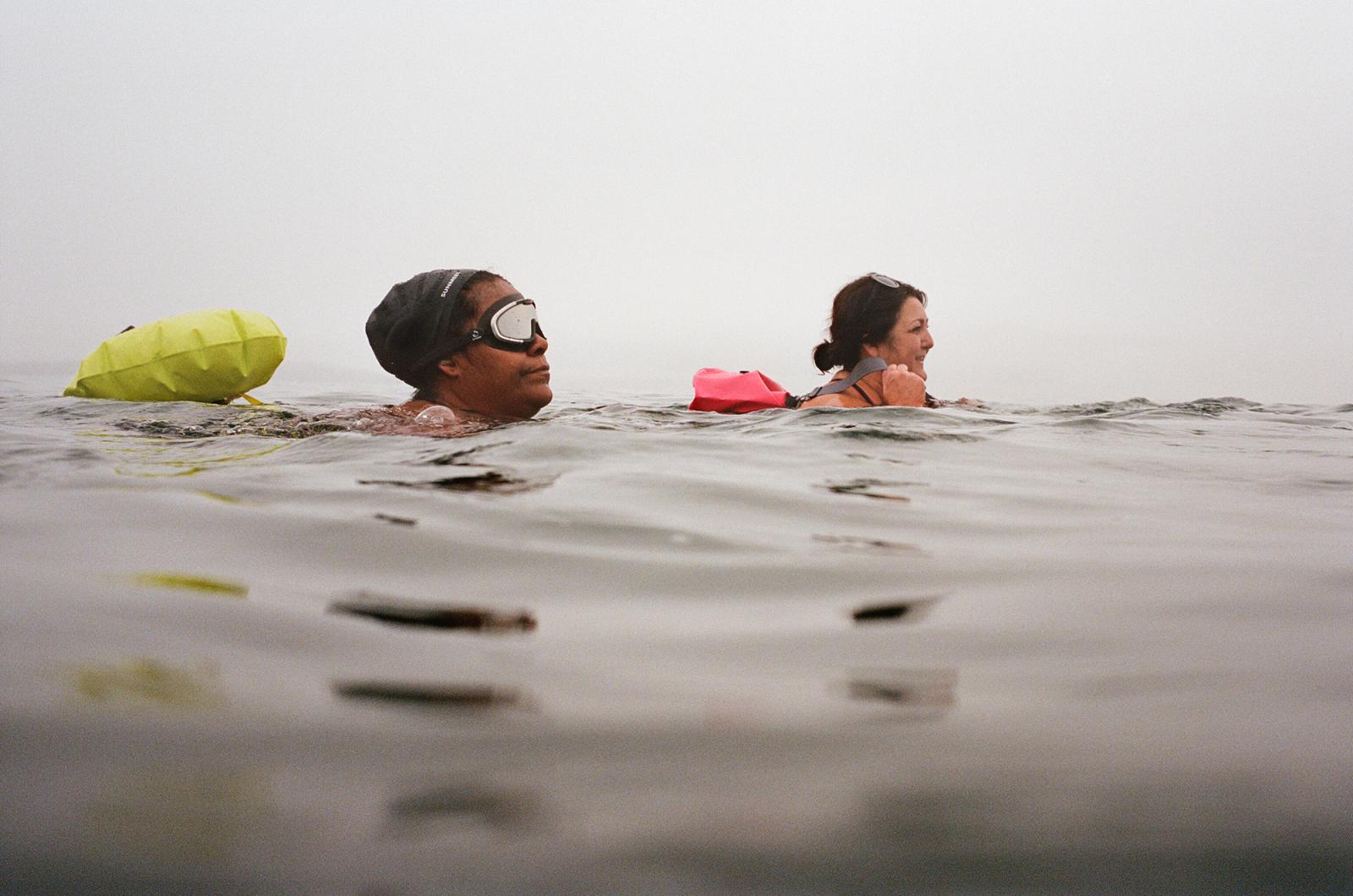 Winter Swimmers of the Salish Sea  - 
