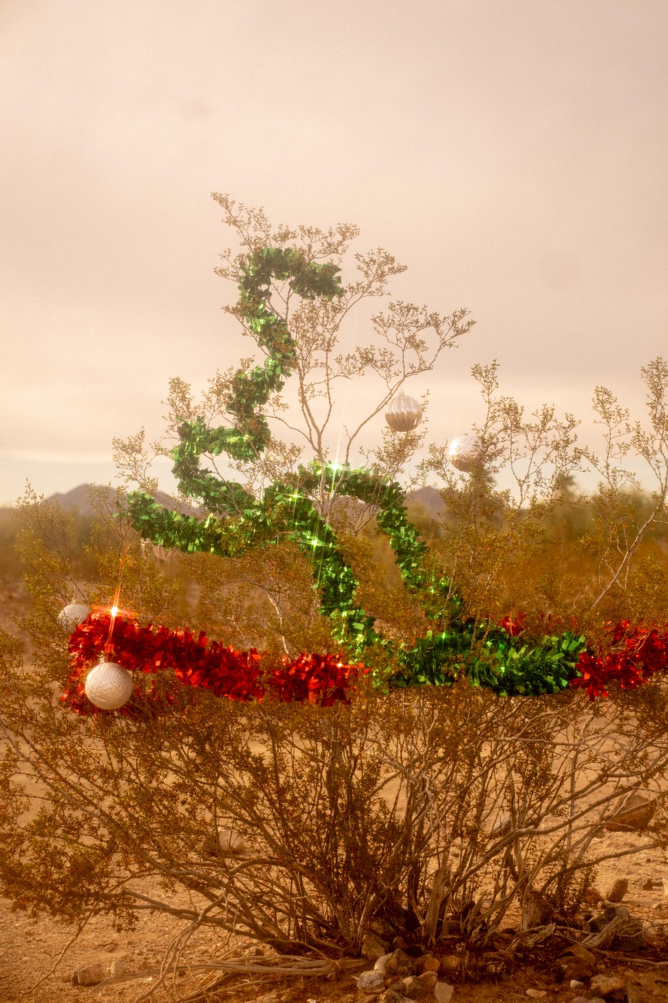 A Warm Winter (An Ongoing Journey) - Christmas decorations in one of the long term visitor...