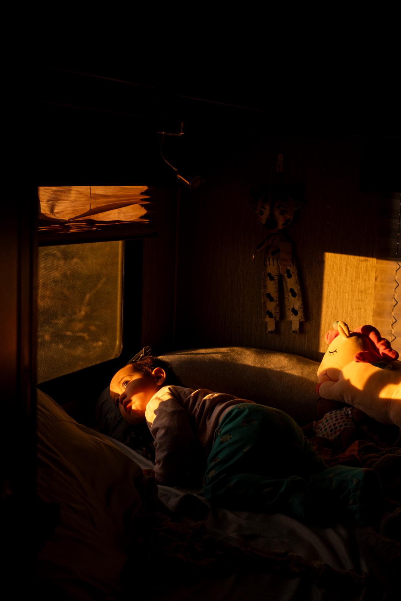 A Warm Winter (An Ongoing Journey) - Nilde looking outside in the early morning. Quartzsite,...