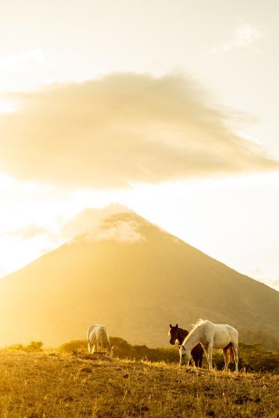 Image from Nicaragua 