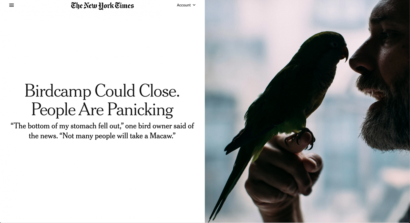 for The New York Times: Birdcamp Could Close. People Are Panicking`