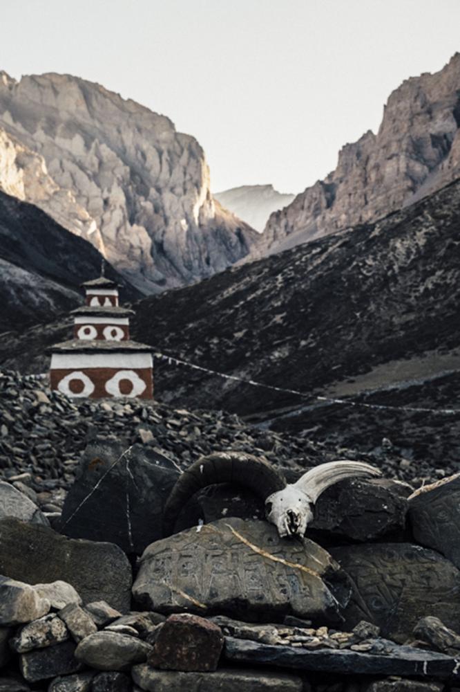 Image from ENVIRONMENT - Remains near Shey Gompa and the Kang La pass. 17,880 ft